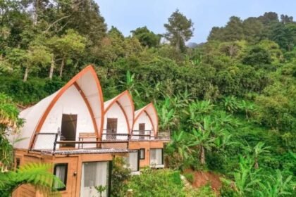 Burnout Recovery Retreat Bogor